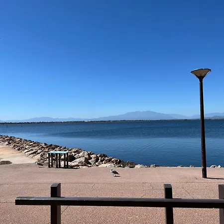 Grand Face Au Lac, Vue Sur Les Pyrenees Daire Le Barcarès